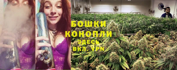 сатива Алексеевка