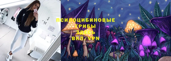 молекула духа Алзамай