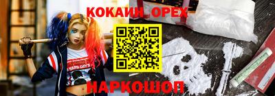 гидра Будённовск