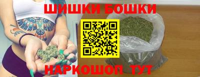 гидра Будённовск