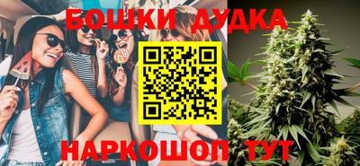 гидра Будённовск