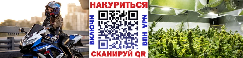Конопля индика Десногорск